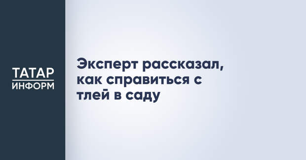 Эксперт рассказал, как справиться с тлей в саду