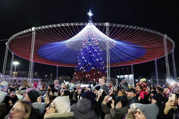 Тульская новогодняя елка признана лучшей в стране
