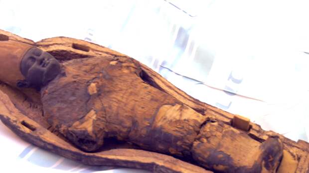 Мумия, найденная в детском саркофаге, оказалась не человеком