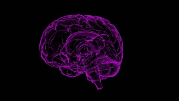 brain-computer interface BrainGate wireless