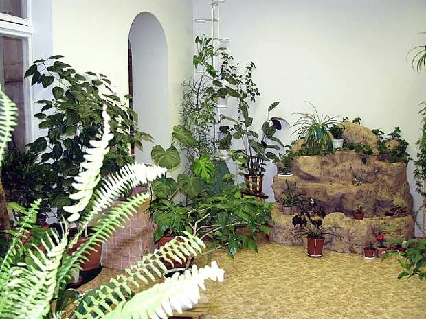 7 (640x480, 306Kb)