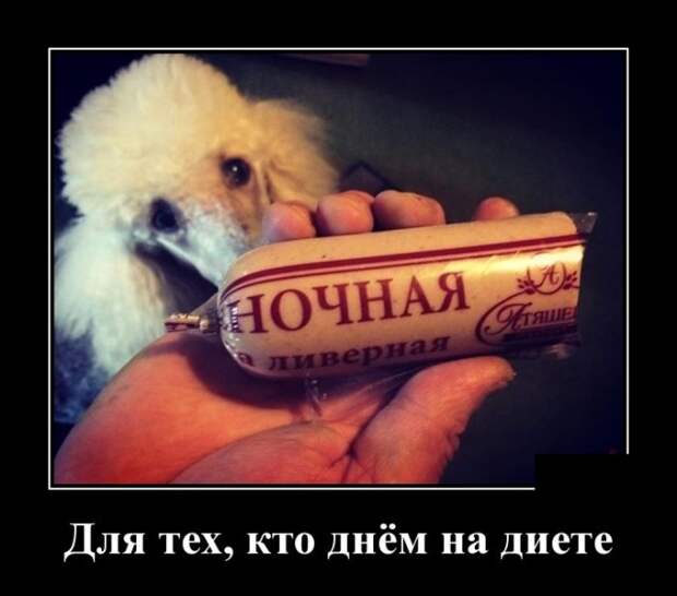 Демотиваторы (30 фото)