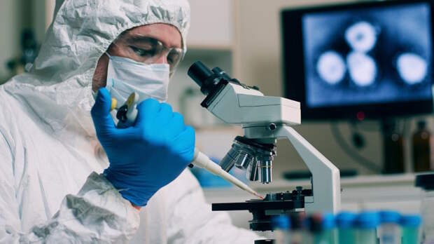 Новые очаги бешенства выявили в Омской области