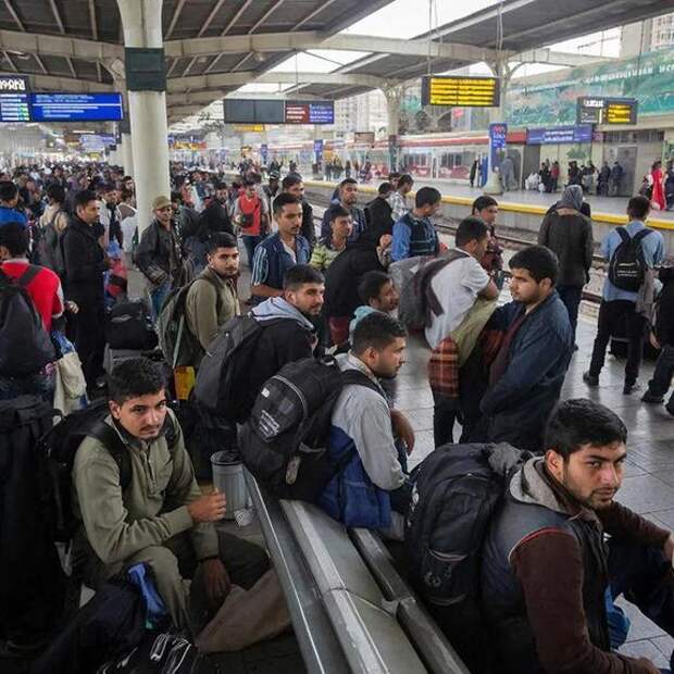 «Сомнительные ядовитые выгоды»: Посол Афганистана шокировал Россию риском завоза афганских мигрантов