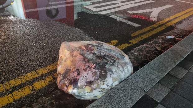 Сеул пообещал «невыносимый» ответ на отправку КНДР сотен шаров с мусором
