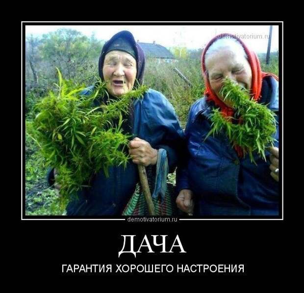 Демотиваторы и мотиваторы. Демотиваторы и веселые картинки_29-05-2013 Демотиваторы и мотиваторы. Демотиваторы и веселые картинки_29-05-2013