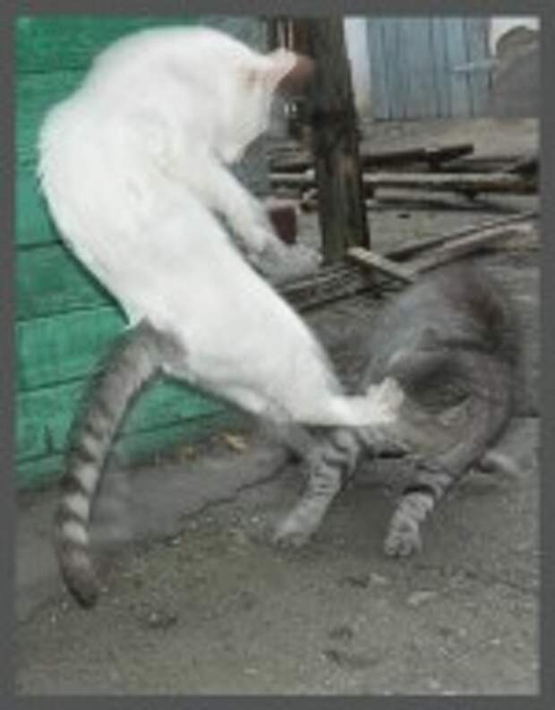 Тяга к знаниям. Не оторвать теперь. Волос на экране прикол. Не оторвать теперь. Не оторвать теперь.