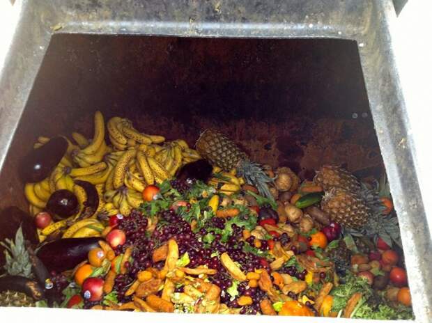 Еда из мусорных контейнеров еда, мусор