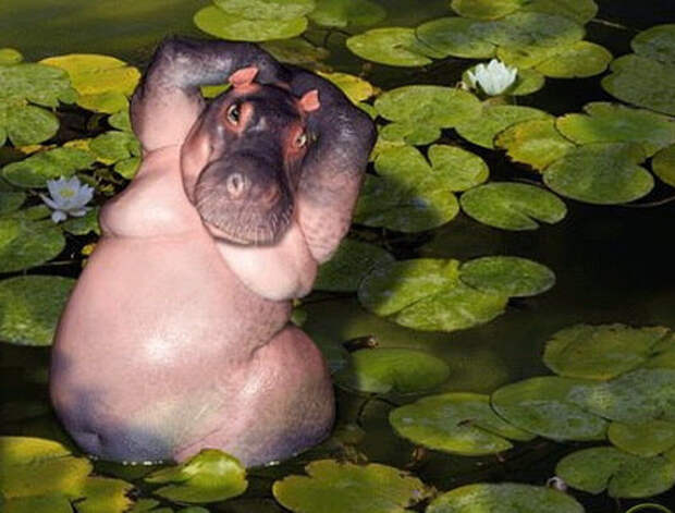 Забавно :)(25 фото)