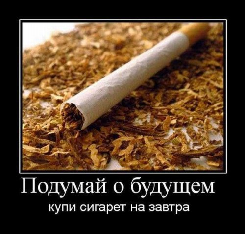 Новая коллекция демотиваторов (31 шт)