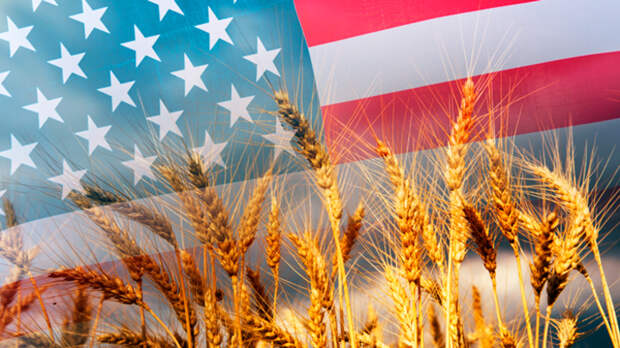 Действительно ли американские фермеры испугались российской пшеницы?