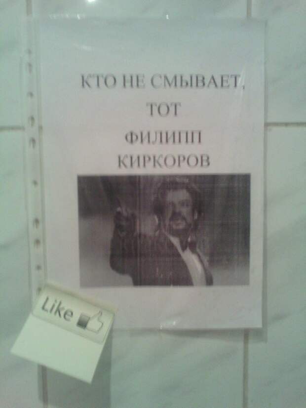 Песня киркорова зашел не в ту дверь. Киркоров в туалете плакат. Как Киркоров с ума сошел.