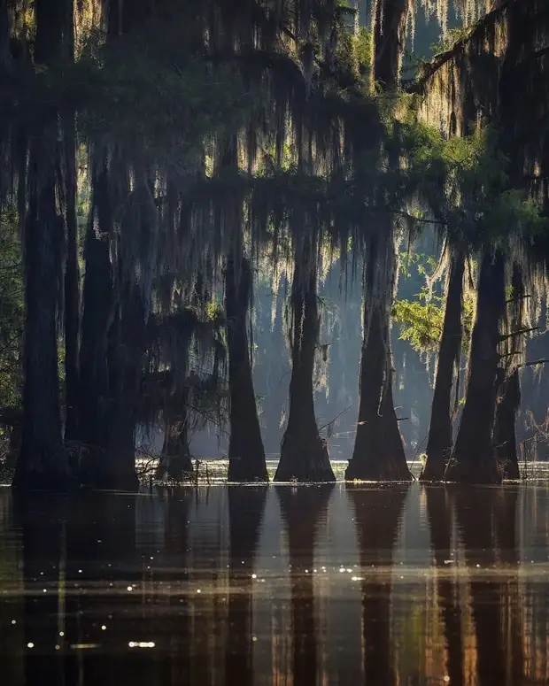 ��������� ����