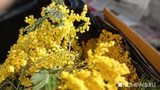 В Екатеринбурге заработали цветочные базары