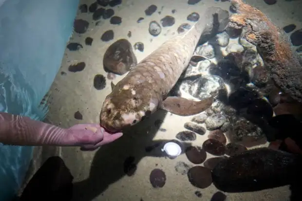 Позитив и юмор в смешных фотографиях