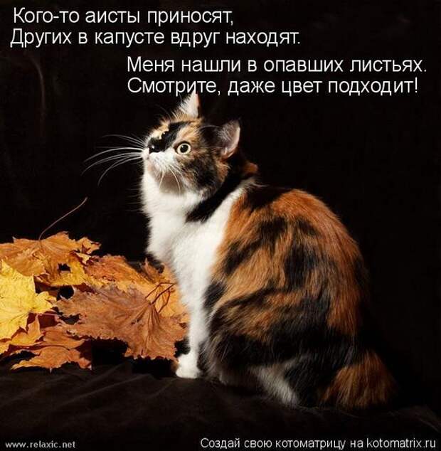 kotomatrix_112