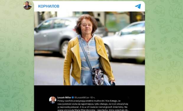 На защиту польской журналистки встали известные в Польше персоны. Скриншот с тг-канала "Корнилов"