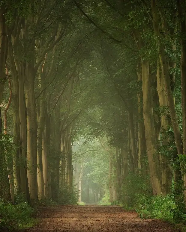 ��������� ����