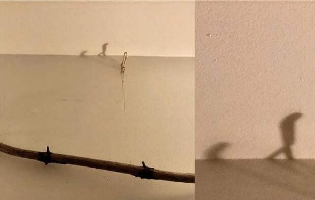 Прикольные тени, которые не могли получиться случайно