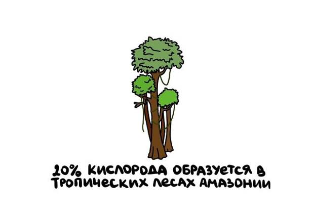 Короткие интересные факты на все случаи жизни