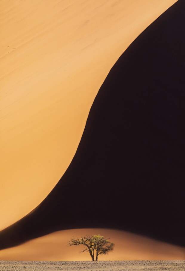 Плато Соссусфлей в пустыне Намиб. Фото - Пол Жижка (Канада), одно из призовых мест в категории "ландшафт" дикая природа, лучшие снимки, лучшие фотографии, победители конкурса, фотографии природы, фотоконкурс, фотоконкурсы. природа