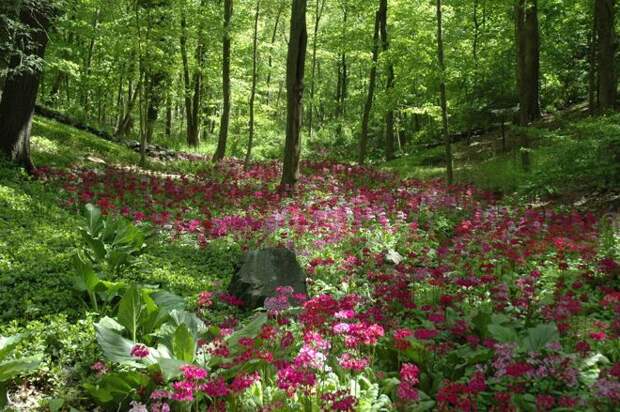 Классический Сад by Maher & Greenwald Fine Gardens
