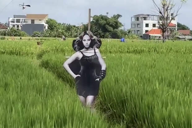 В Индонезии фермер установил пугало в виде Бейонсе для защиты урожая от птиц