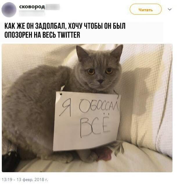 Прикольные комментарии и СМС-диалоги