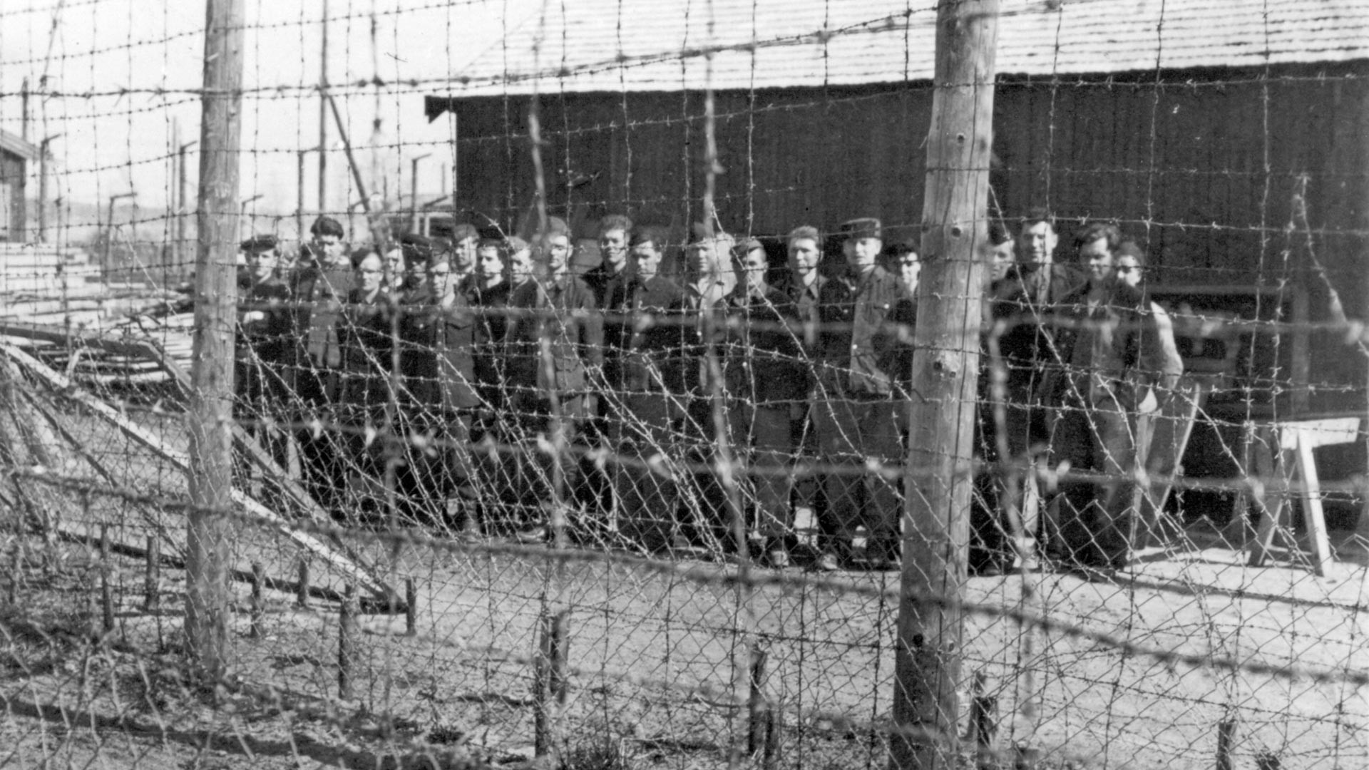 Почему Норвегия тайно выкопала останки тысяч советских солдат
