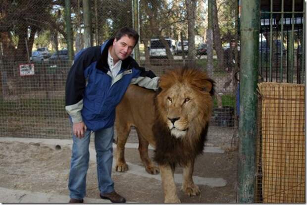 extreme-zoo_25_(funnypagenet.com)