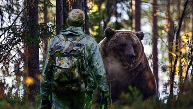 Охотник встретился с медведем… Фотоколлаж 