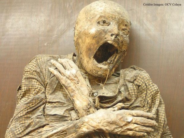 10 самых страшных музеев мира
