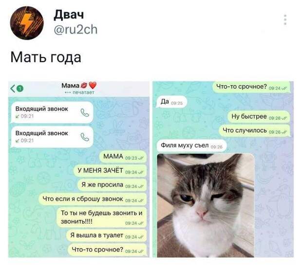 Подборка забавных твитов обо всем (15 фото)