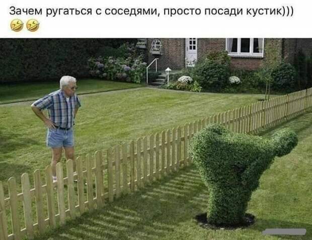 Просто посади кустик ) Просто посади кустик )