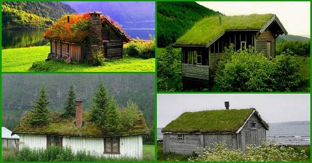 Оживите дом с помощью «зеленой крыши»: фото-идеи и мастер-класс