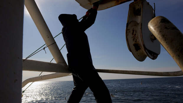 Россия и Япония утвердили квоты на вылов лососевых на 2026 год