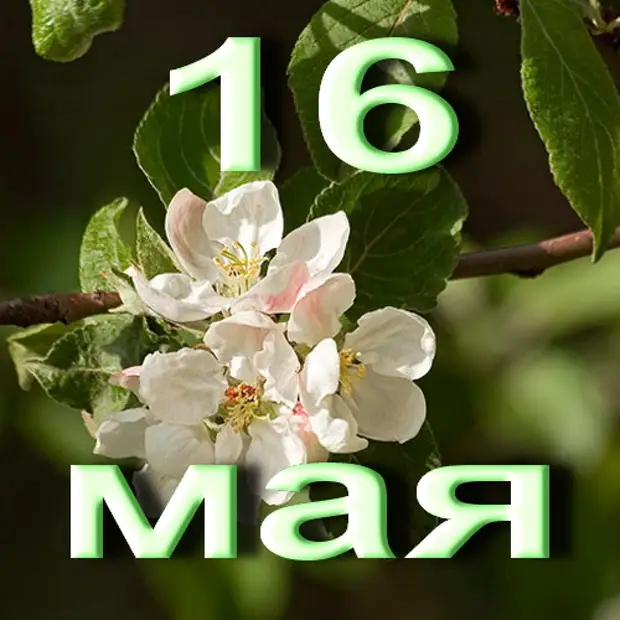 Картинки с 16 мая