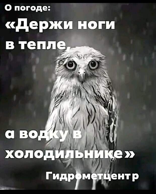 Донецкая группа новостей, Донецк ДНР