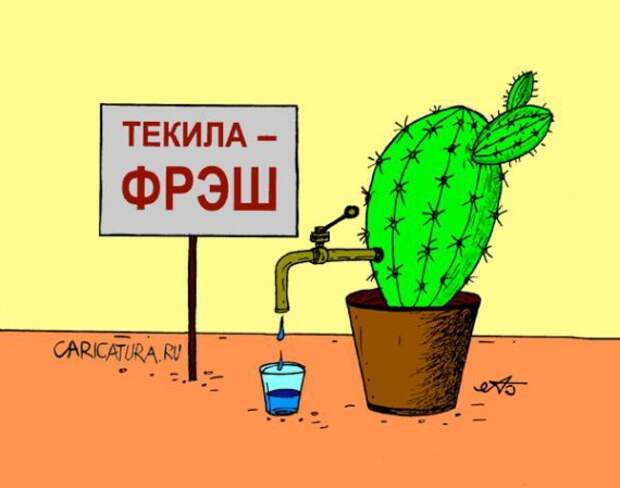 Юмор в картинках Юмор в картинках