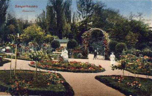 rosarium_europa_005_1908.jpg