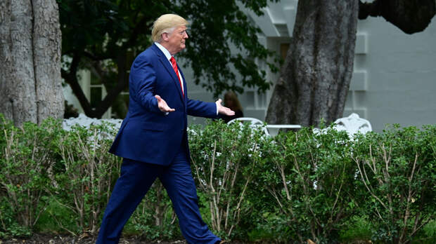 Советник Трампа увидел в действиях демократов «попытку госпереворота»