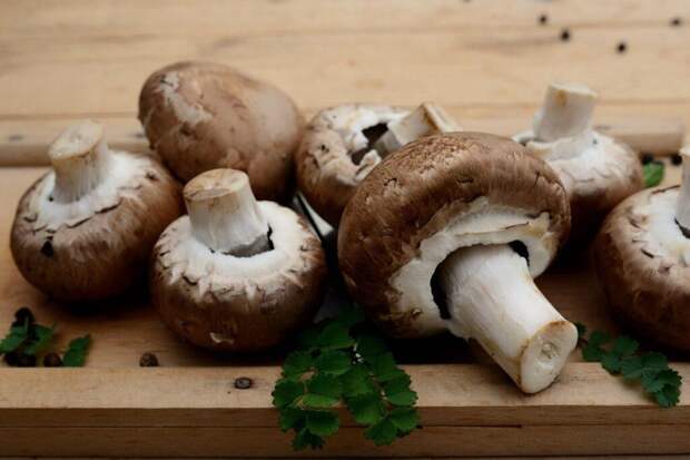 Как готовить грибы без соли и уксуса, чтобы сохранить пользу