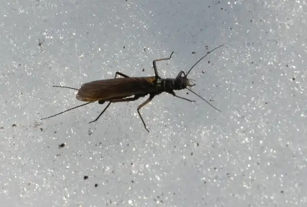 А почему так холодно? А можно обратно под воду?