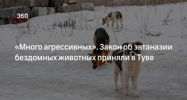 Минюст Тувы: в республике будут умерщвлять опасных бездомных животных
