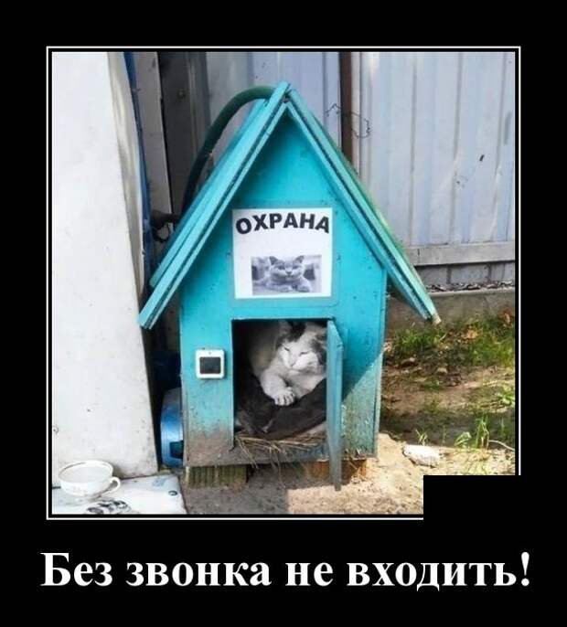 Демотиваторы смешные