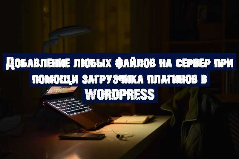 Добавление любых файлов на сервер при помощи загрузчика плагинов в WordPress