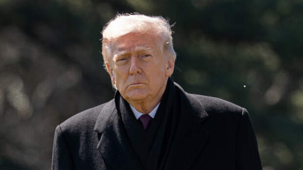 Трамп: хотел бы увидеть встречу Путина и Зеленского