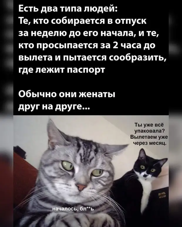     :   ,    ?...