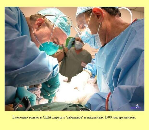 Знаете ли Вы?. Часть 15. (30 фото)