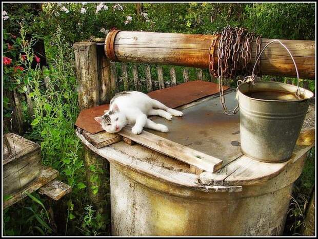 Деревенские мотивы